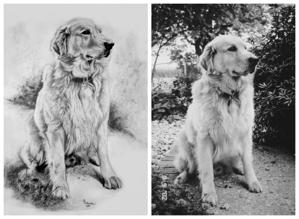 1024x749 Pet Portraits - Artists That Drawing Dogs