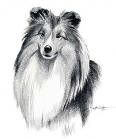 236x283 beautiful dog drawing and art work from best artists images - Artists That Drawing Dogs