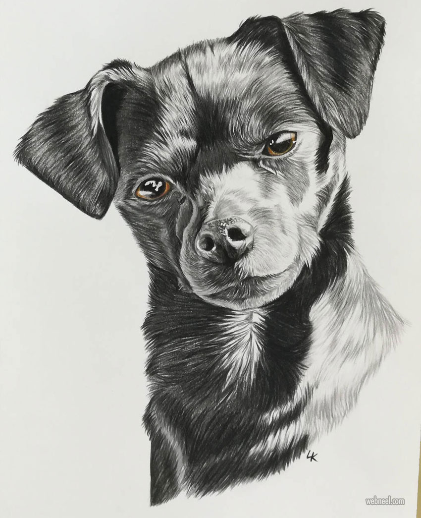 Artists That Drawing Dogs at PaintingValley.com | Explore ...