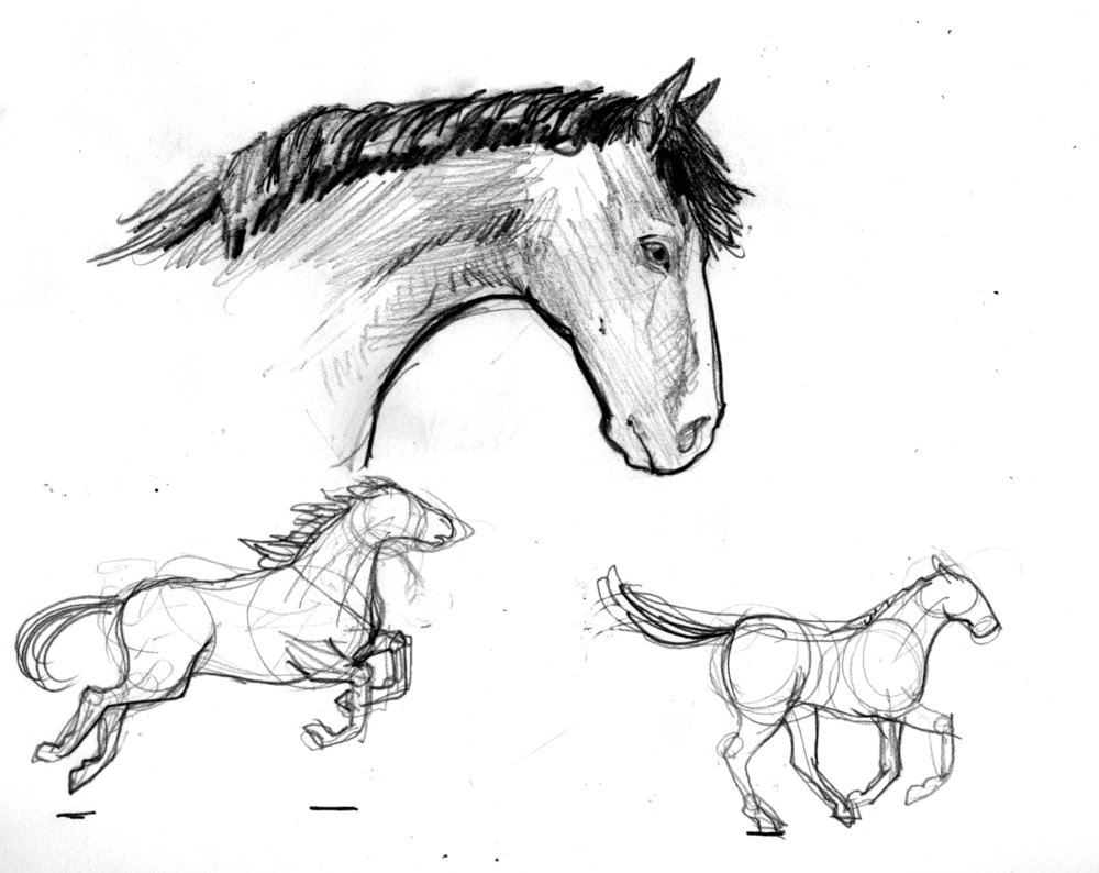 1000x794 Drawing In The Wild Horses - Artists Who Drawing Horses
