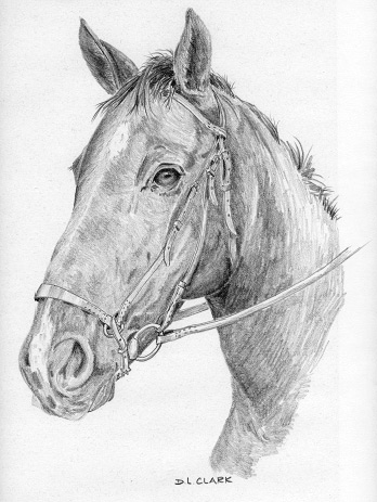 348x463 Learn To Draw Online Step - Artists Who Drawing Horses