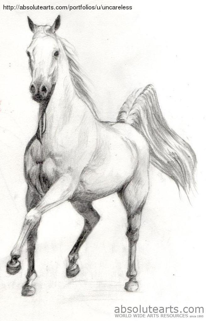 656x1024 Pencil Drawings Horse Pencil Drawings - Artists Who Drawing Horses