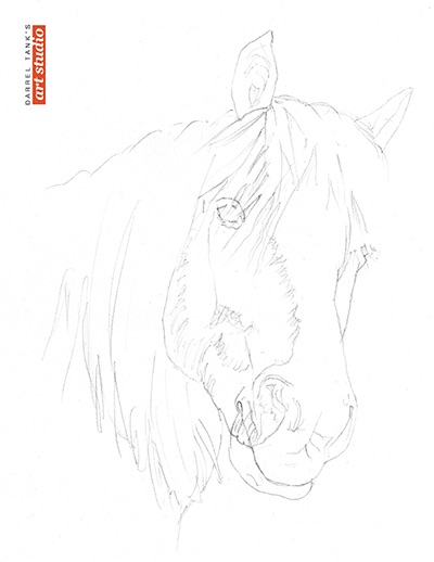 400x518 you'll never think of drawing a horse the same way - Artists Who Drawing Horses