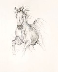 236x291 Horse Head Drawing Suzies Stuff - Artists Who Drawing Horses