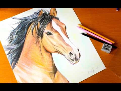 480x360 Drawing Horse Budget Art - Artists Who Drawing Horses