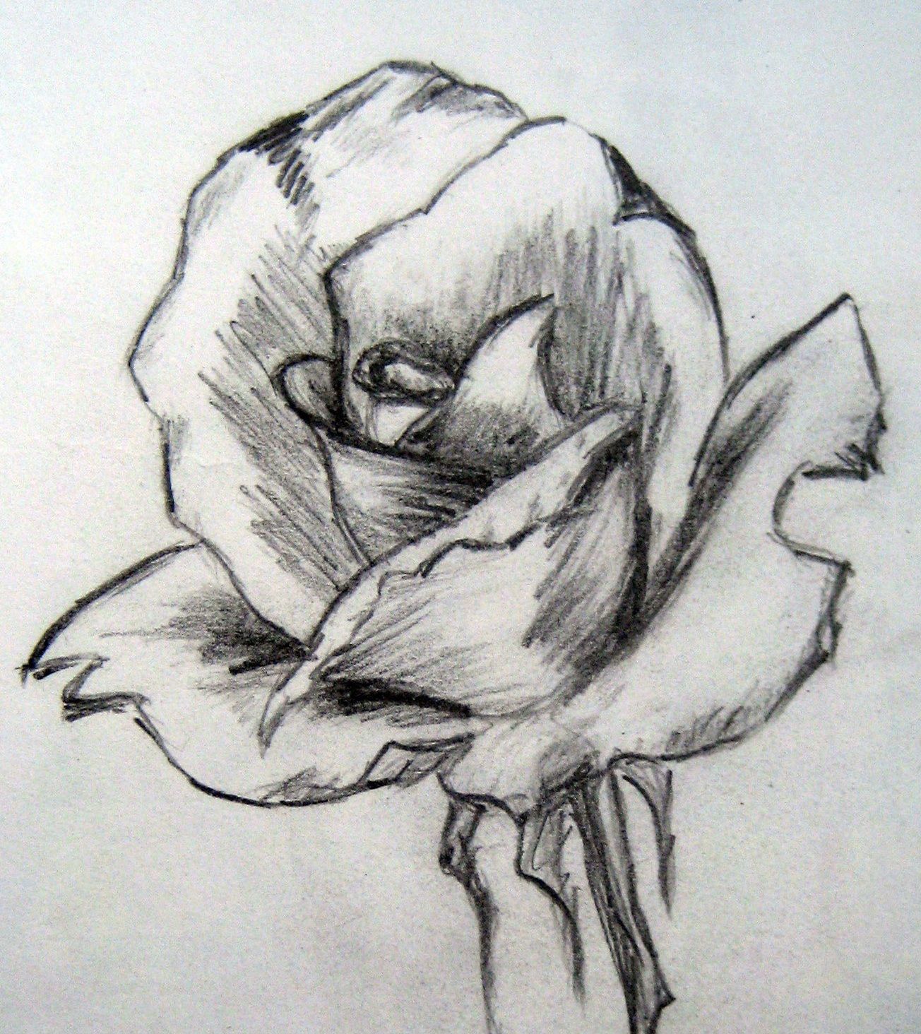 1304x1464 Easy Pencil Drawings Of Flowers Art - Artwork Drawings