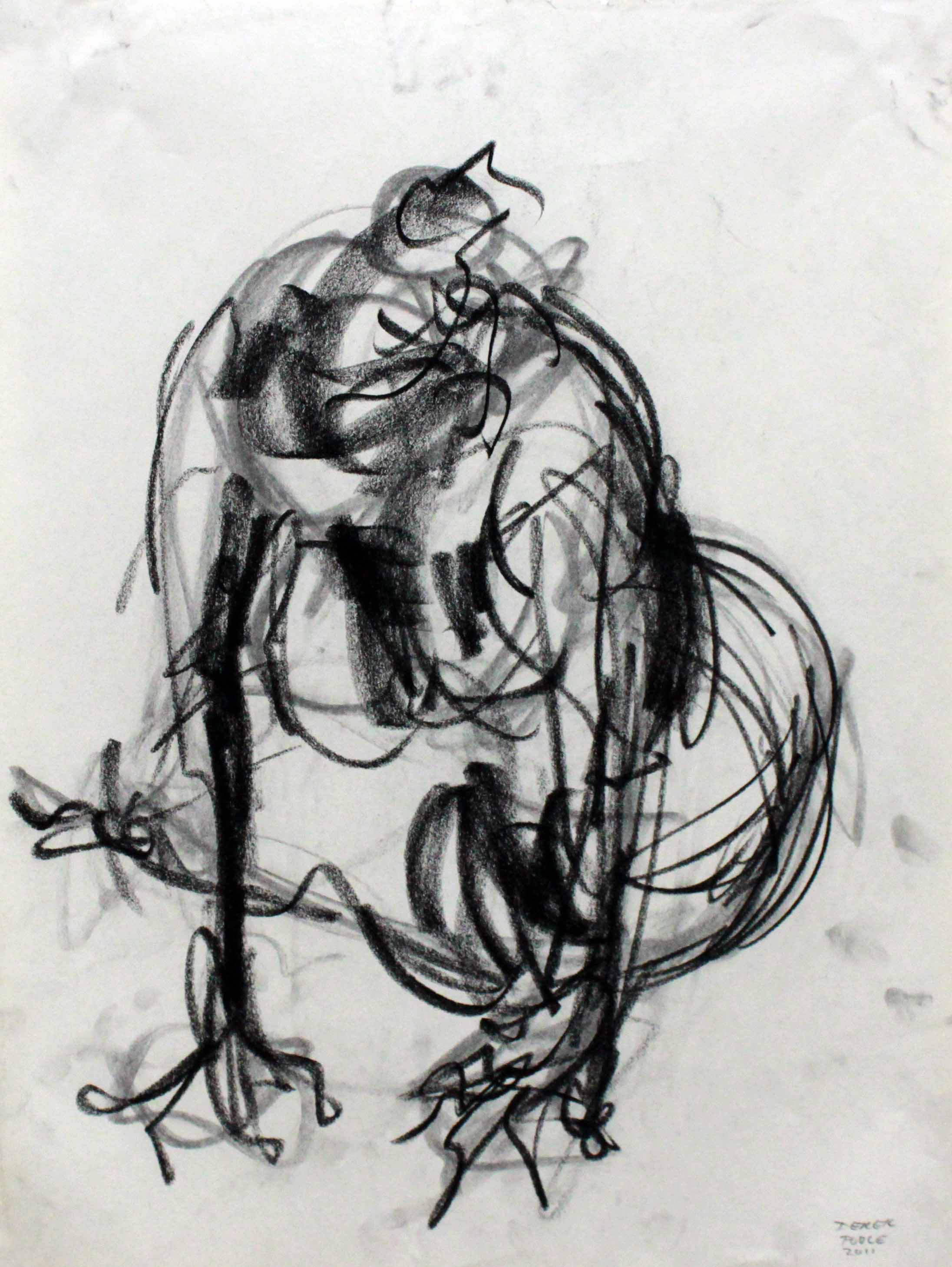 2192x2916 ashley wood + some drawings derek g poole - Ashley Wood Drawing