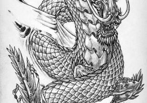 300x210 Drawings Of Asian Dragons Legendary Chinese Dragon - Asian Dragon Drawing