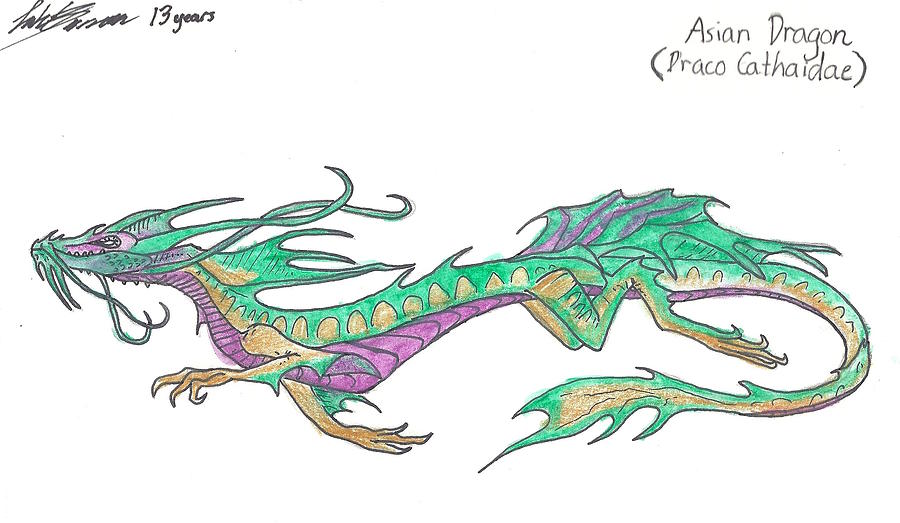 900x523 Asian Dragon Drawing - Asian Dragon Drawing