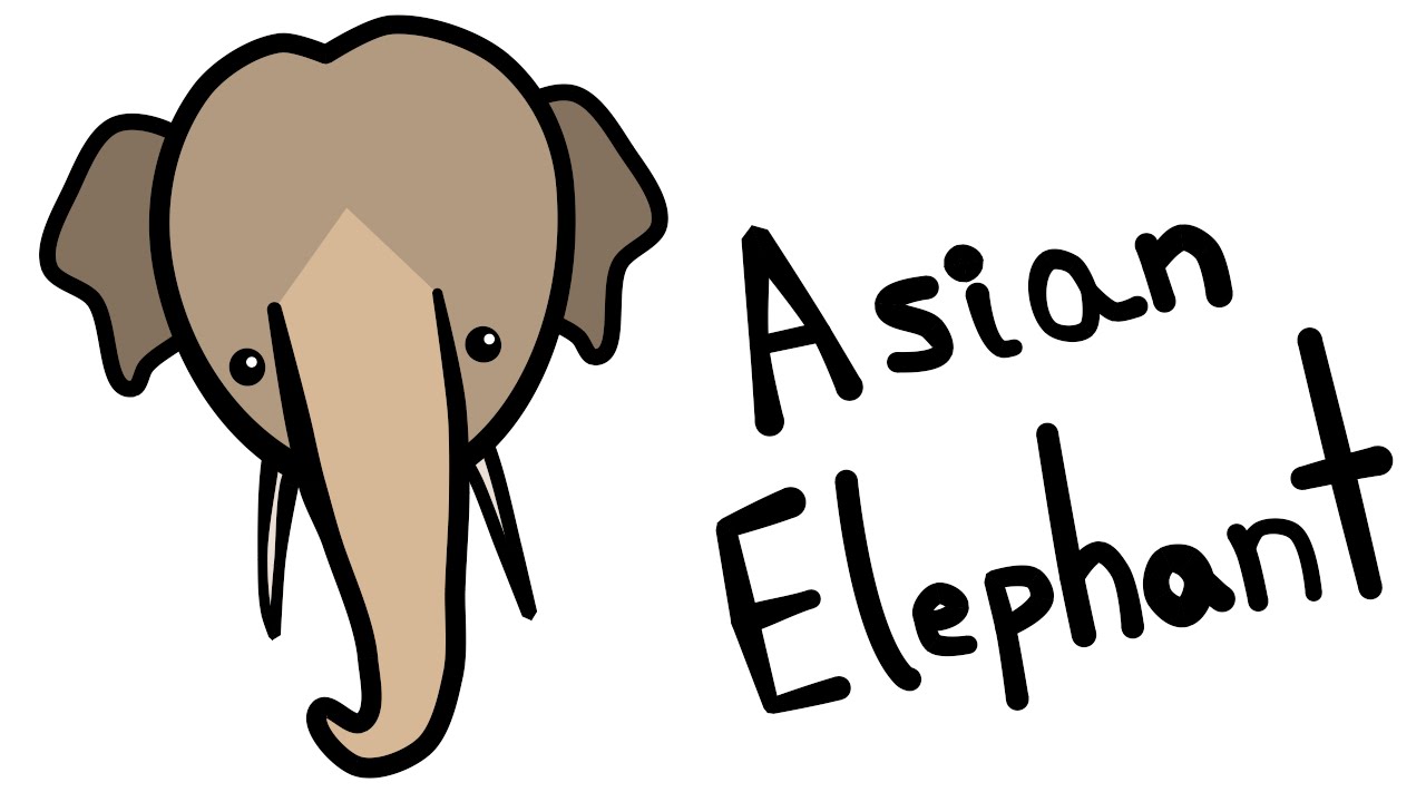 1280x720 cute and quick how to draw an asian elephant - Asian Elephant Drawing