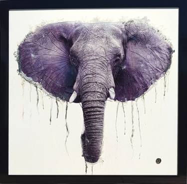 375x368 Endangered - Asian Elephant Drawing