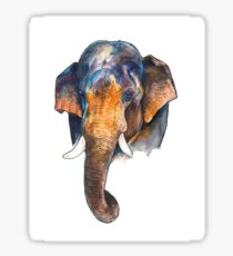 210x230 asian animals drawing stickers redbubble - Asian Elephant Drawing