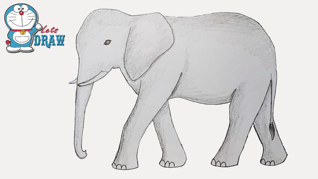 1280x720 How To Draw Elephant Step - Asian Elephant Drawing