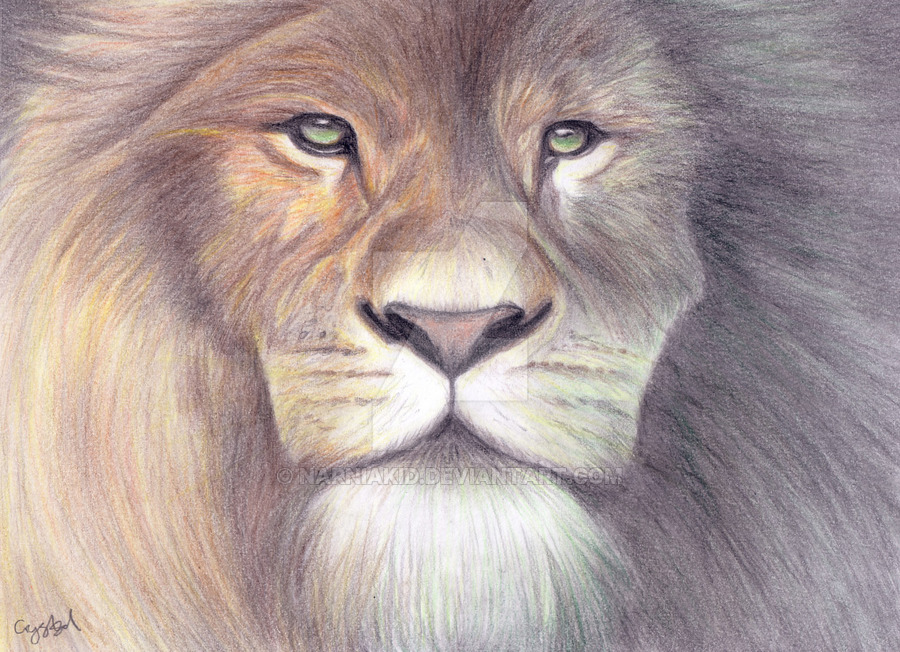 900x652 Aslan Drawing - Aslan Drawing