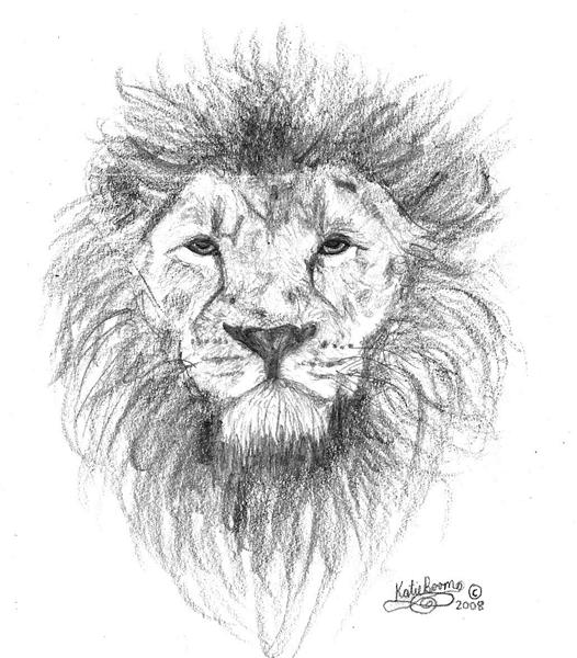 Aslan Drawing at PaintingValley.com | Explore collection of Aslan Drawing