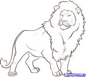 300x266 Aslan Draw - Aslan Drawing