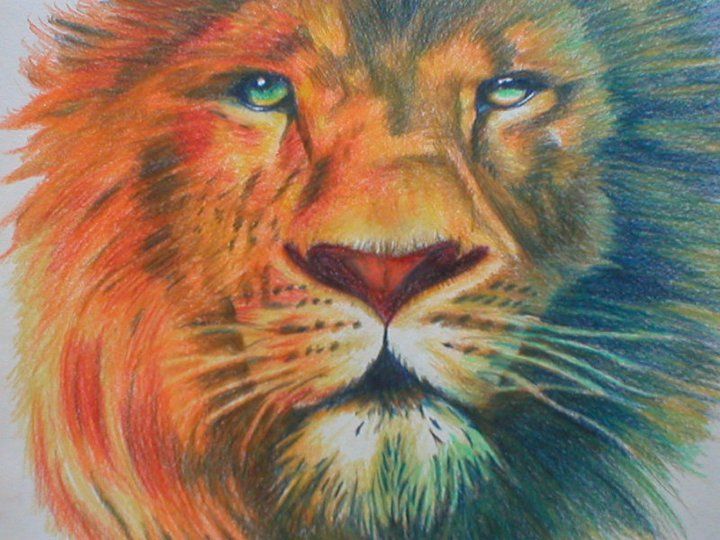 720x540 How To Draw Digital Art Aslan Drawing - Aslan Drawing