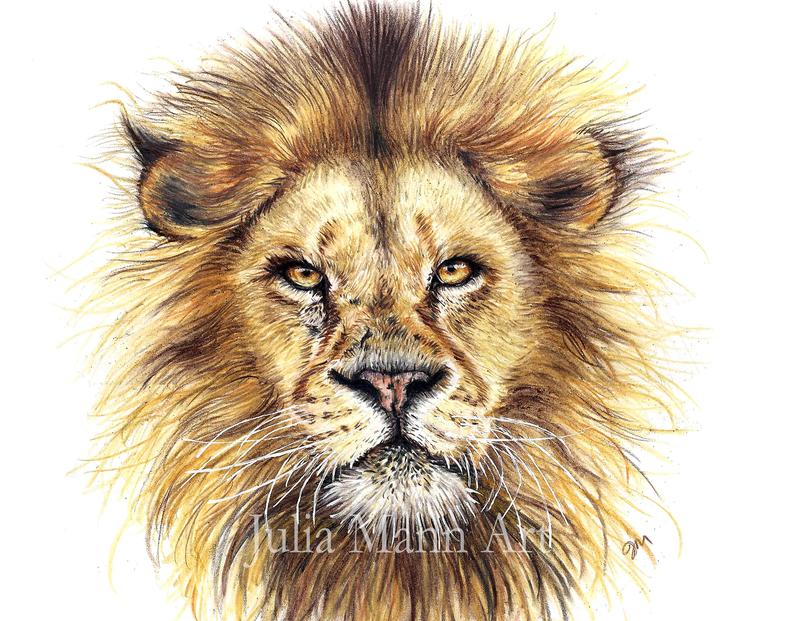 Aslan Drawing at Explore collection of Aslan Drawing