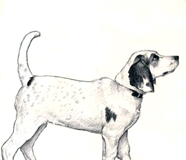 270x232 Juvenile Cowboy - Aso Drawing