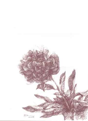 362x500 Kaji Aso Japanese Artist Drawing - Aso Drawing