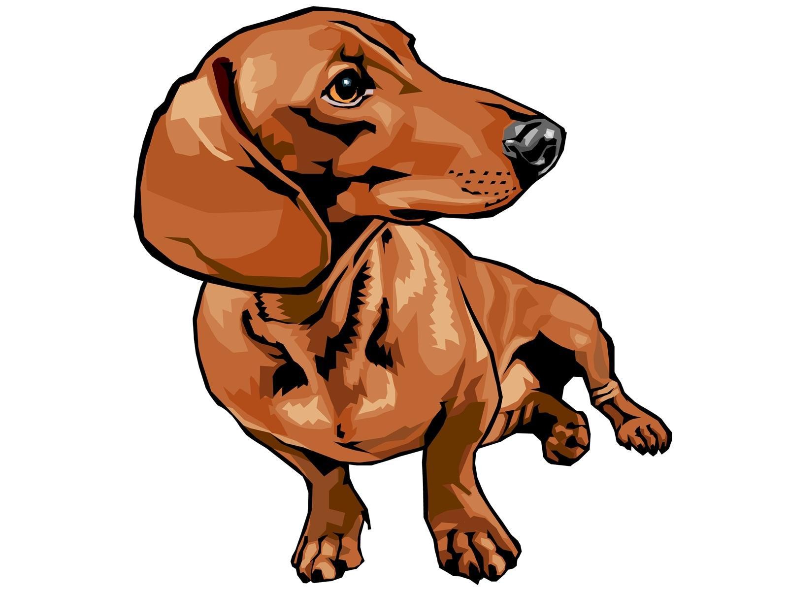 1600x1200 uri ng aso pagguhit hd desktop wallpaper widescreen high - Aso Drawing