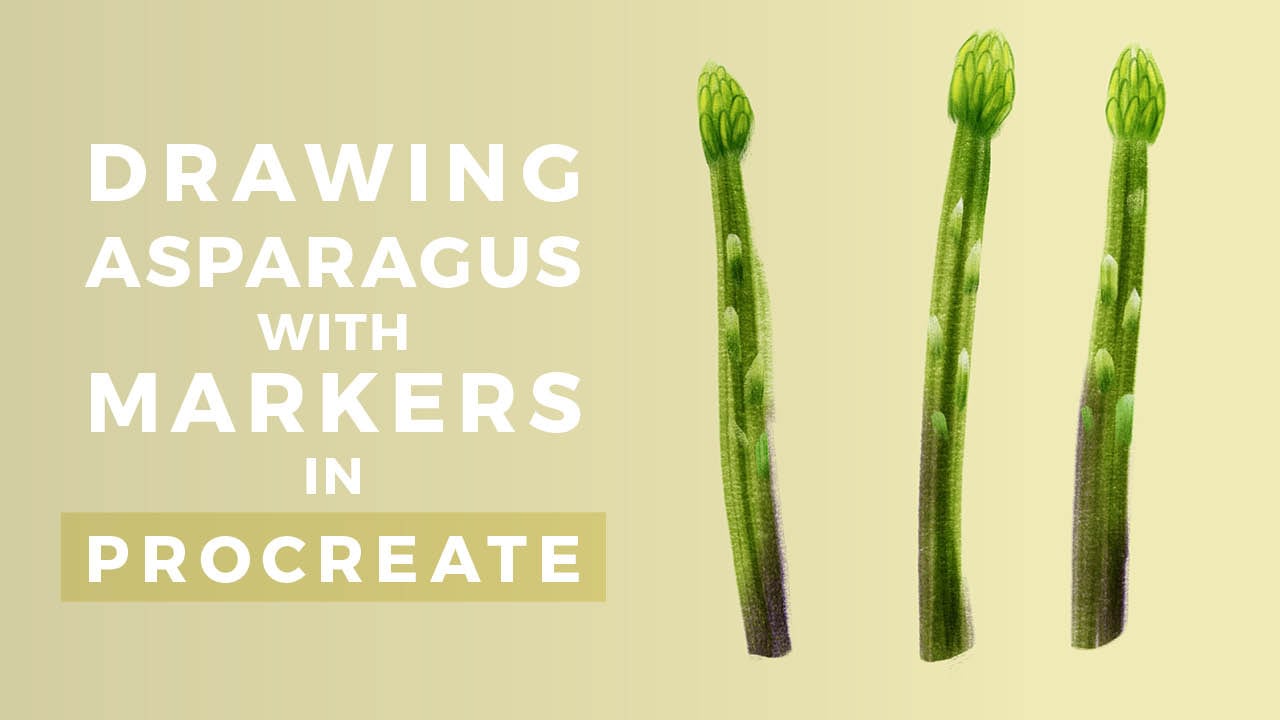 1280x720 drawing asparagus with markers procreate tutorial bardot brush - Asparagus Drawing