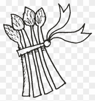 320x342 new celebrity wallpapers black and white patterns - Asparagus Drawing