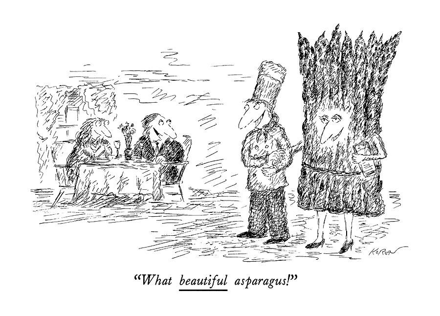 900x646 what beautiful asparagus drawing - Asparagus Drawing