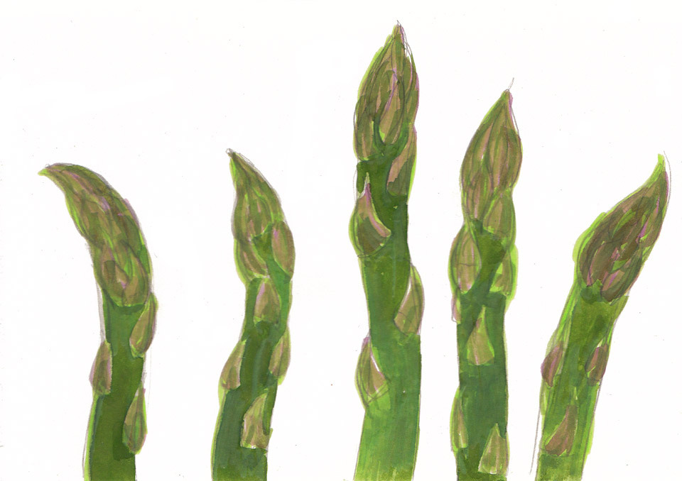 960x678 asparagus with roast garlic aioli and pangrattato cooking alice is - Asparagus Drawing