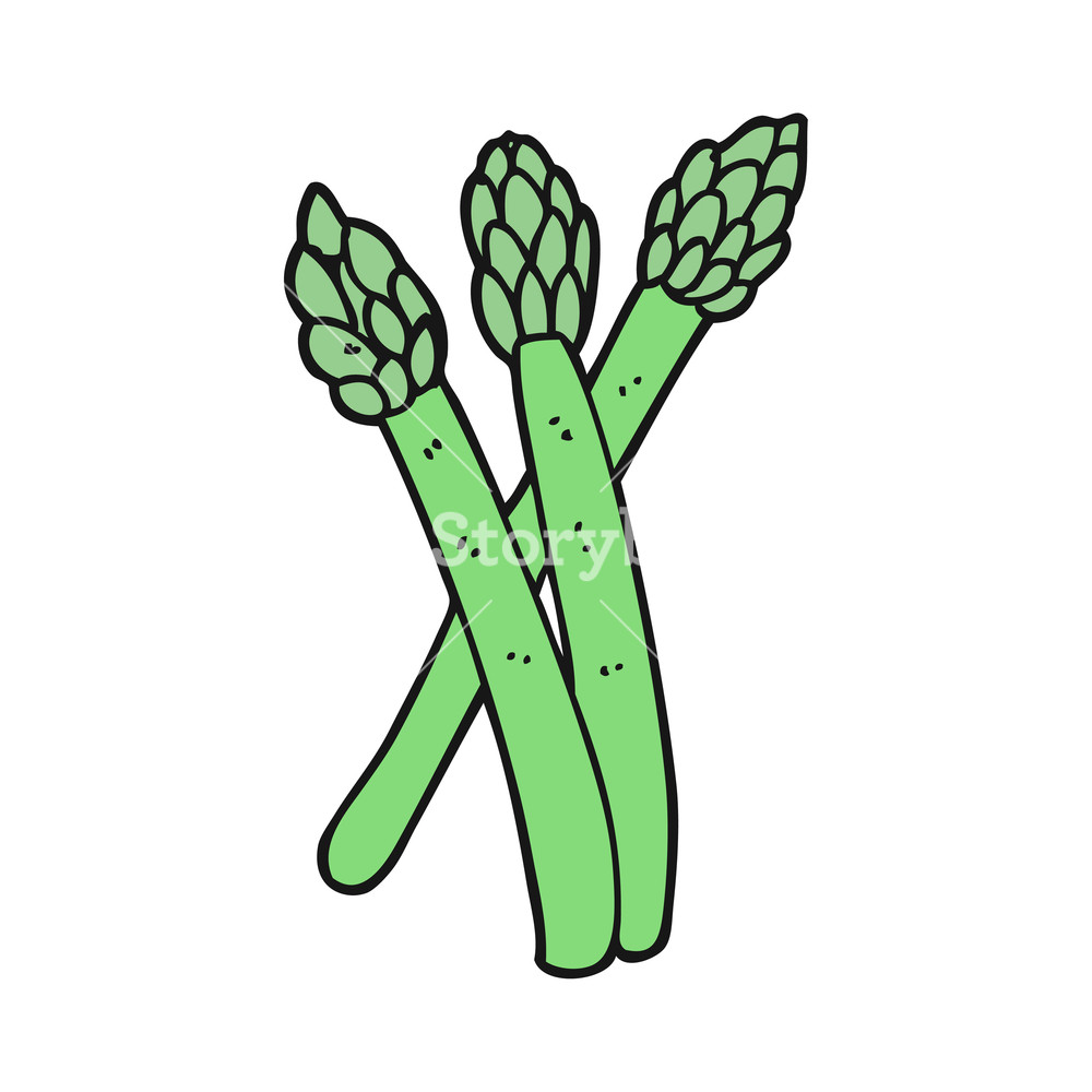 1000x1000 freehand drawn cartoon asparagus royalty free stock image - Asparagus Drawing
