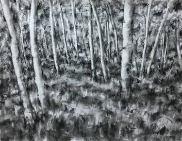 375x290 aspen trees drawing - Aspen Tree Drawing