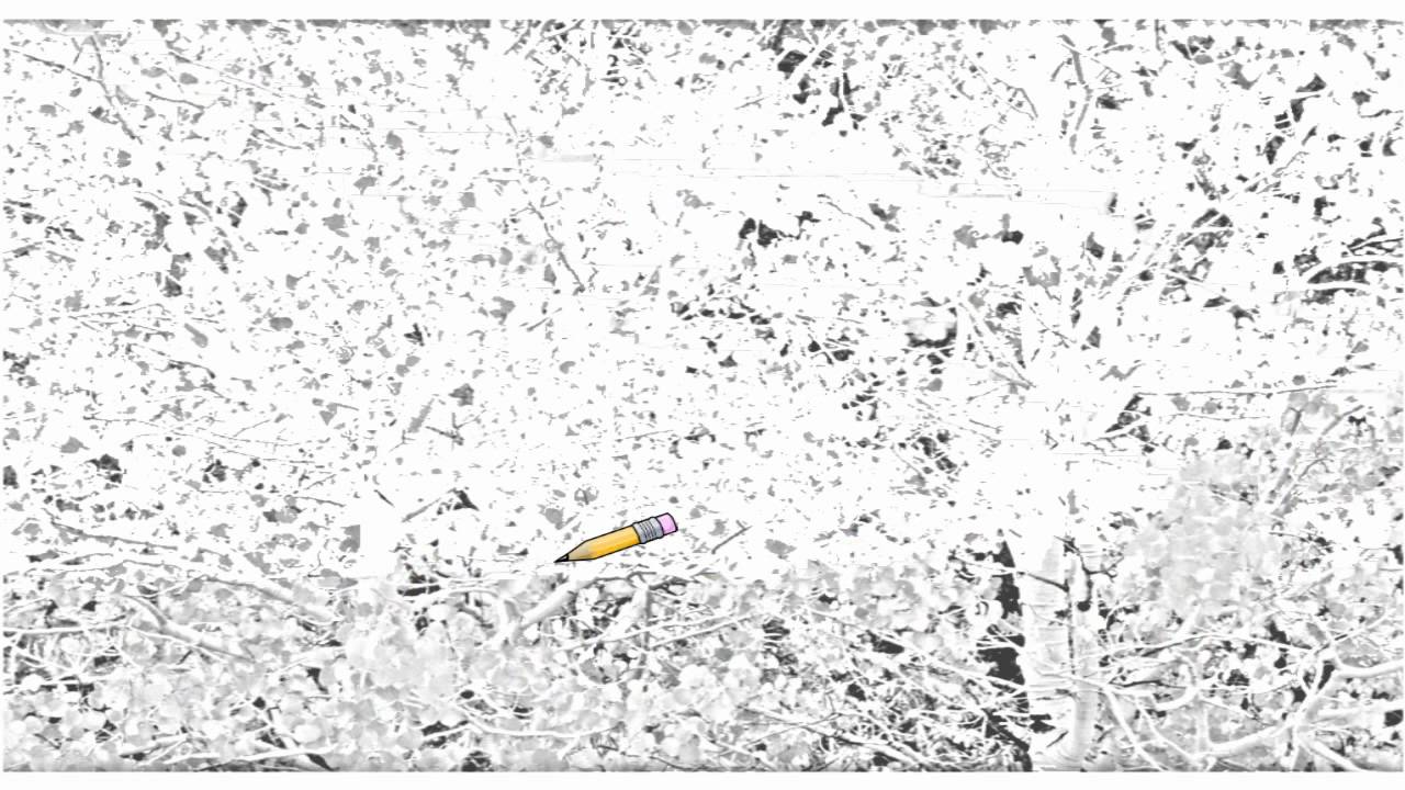 1280x720 auto draw aspen trees in early autumn, california - Aspen Tree Drawing