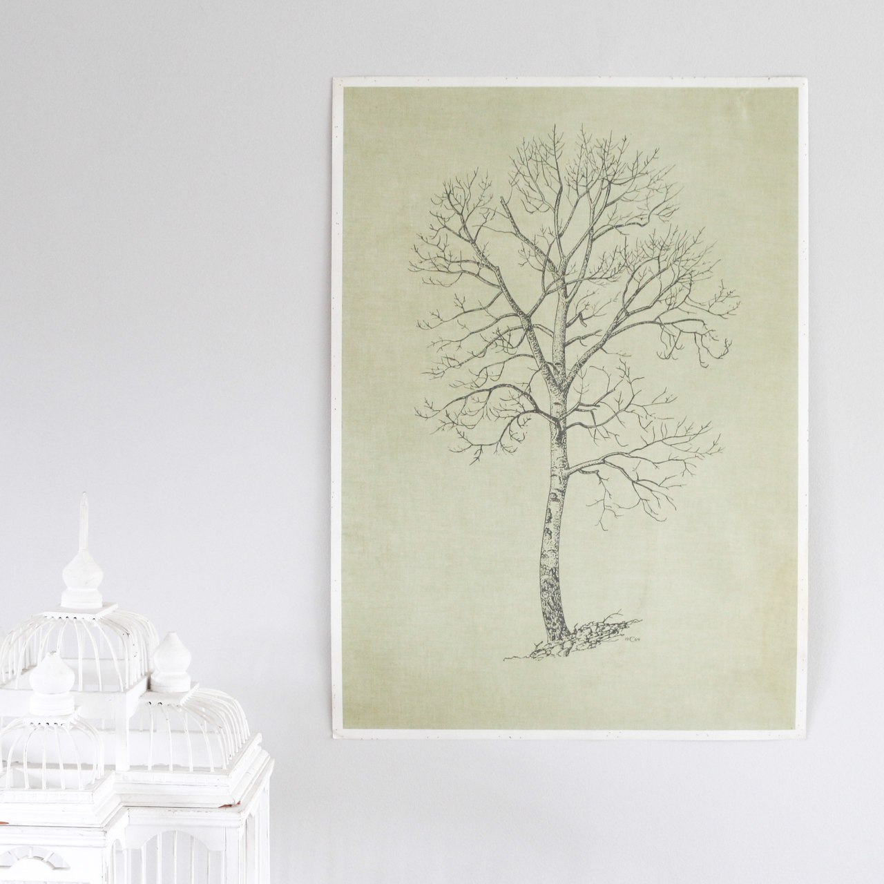 1280x1280 vintage double sided tree print, aspen tree - Aspen Tree Drawing