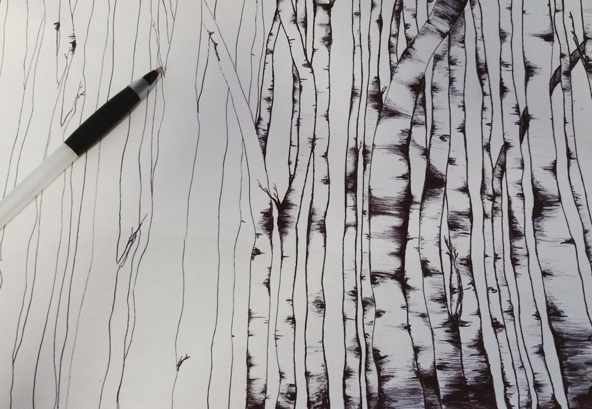 1200x830 bandaarts on twitter - Aspen Tree Drawing