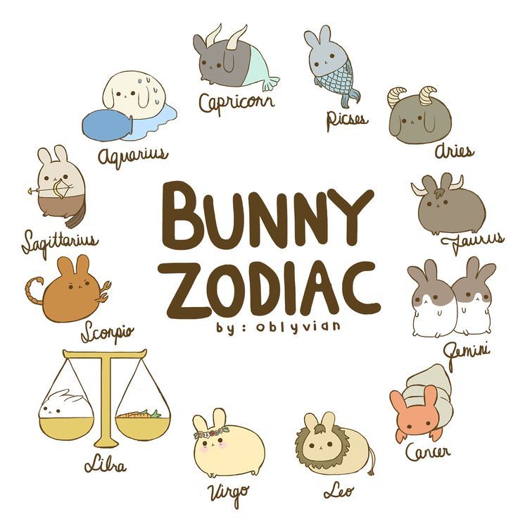 736x754 Zodiac Art Tumblr - Astrology Drawings