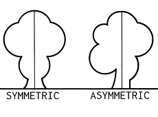 230x170 asymmetrical balance in art definition, design examples - Asymmetrical Drawing