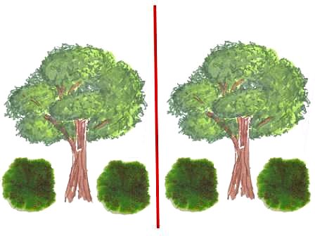 448x336 asymmetrical balance in landscape design - Asymmetrical Drawing