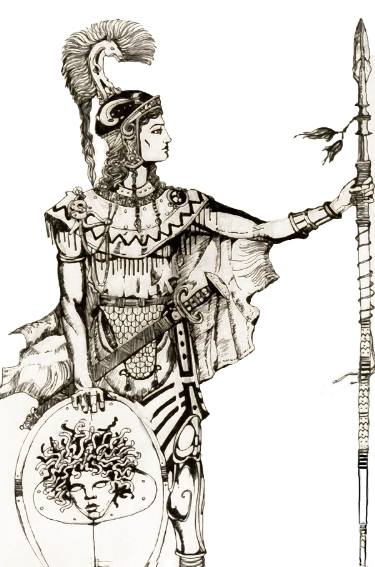 375x567 athena' drawing - Athena Drawing