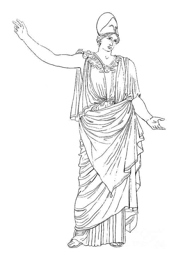 619x900 athena minerva drawing - Athena Drawing