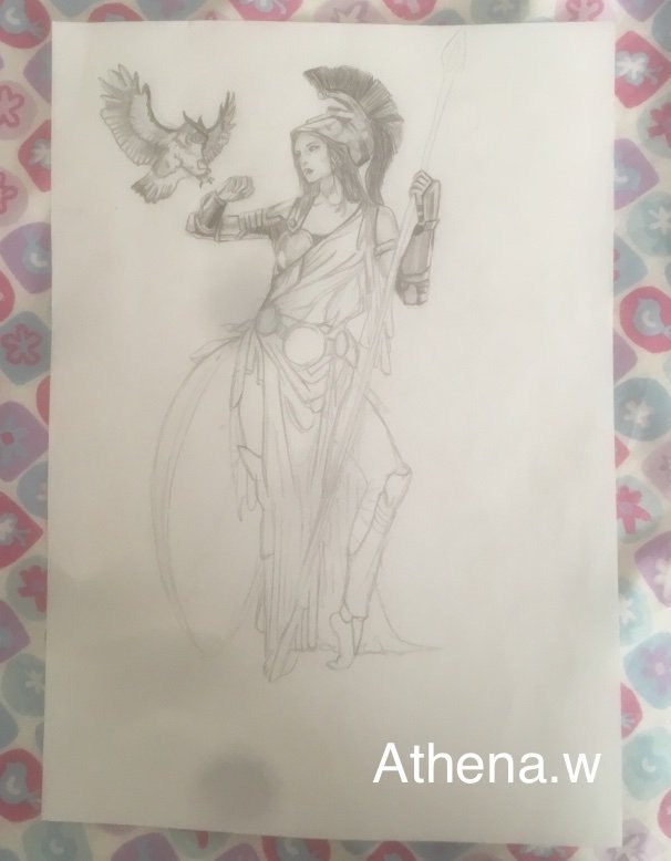606x778 athena drawing hellenistic polytheism amino - Athena Drawing