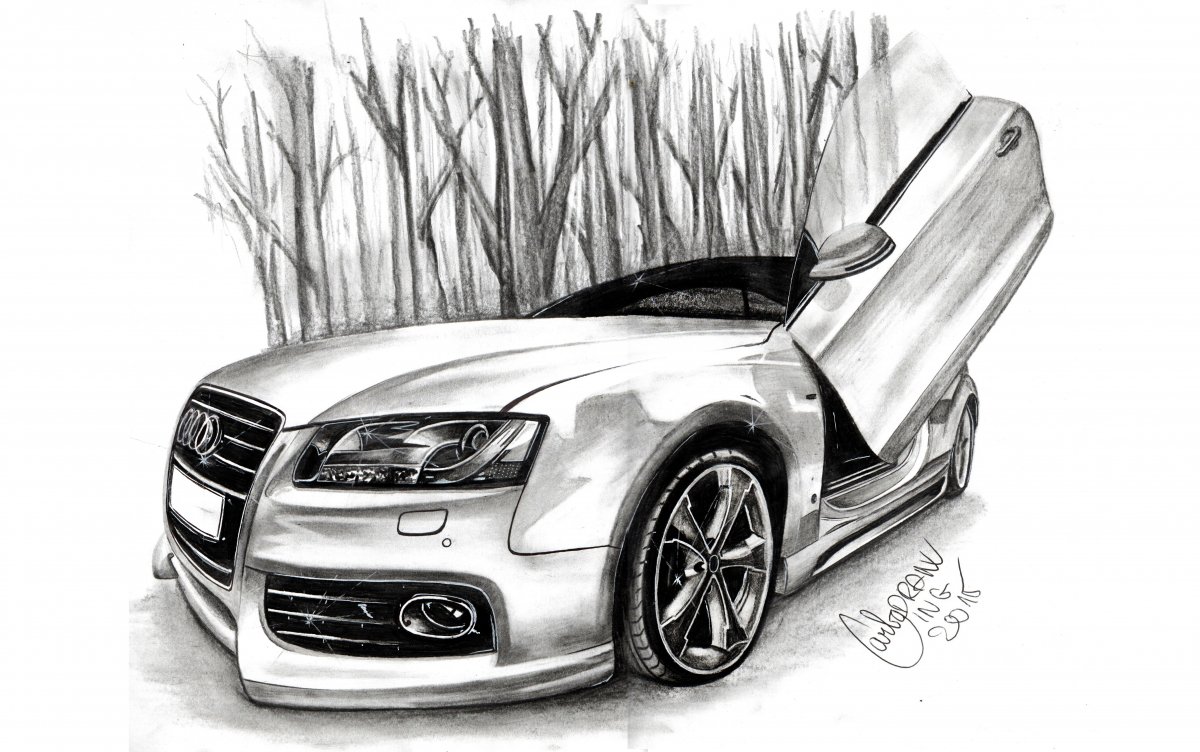 1200x752 Audi - Audi Drawing