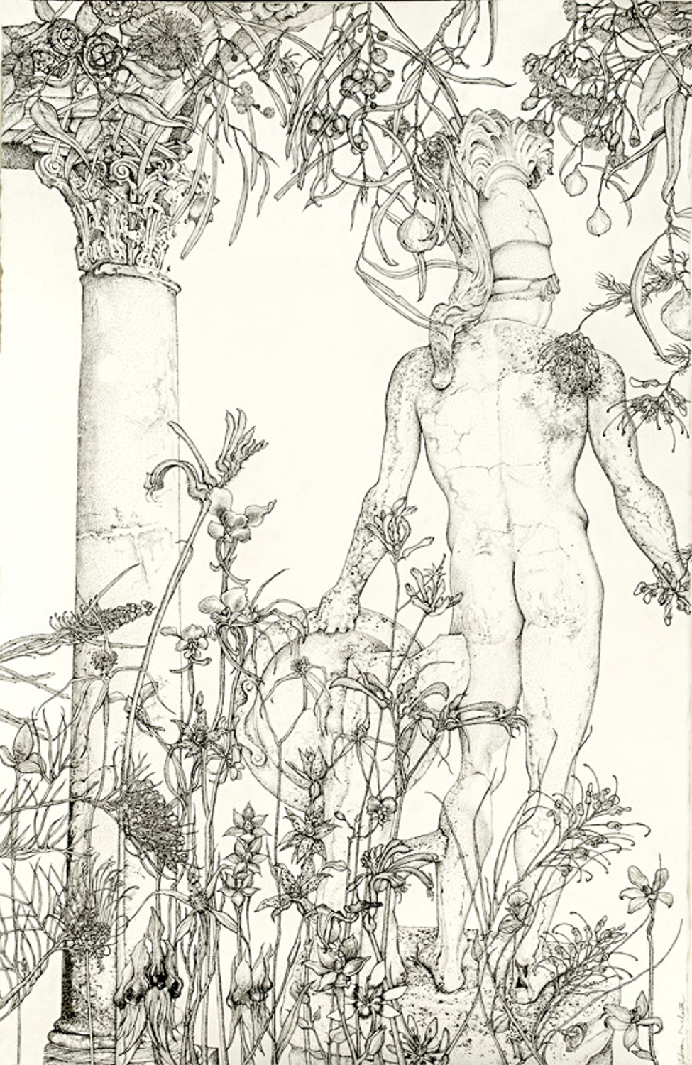 975x1500 The Kedumba Collection Of Australian Drawings - Australia Drawing