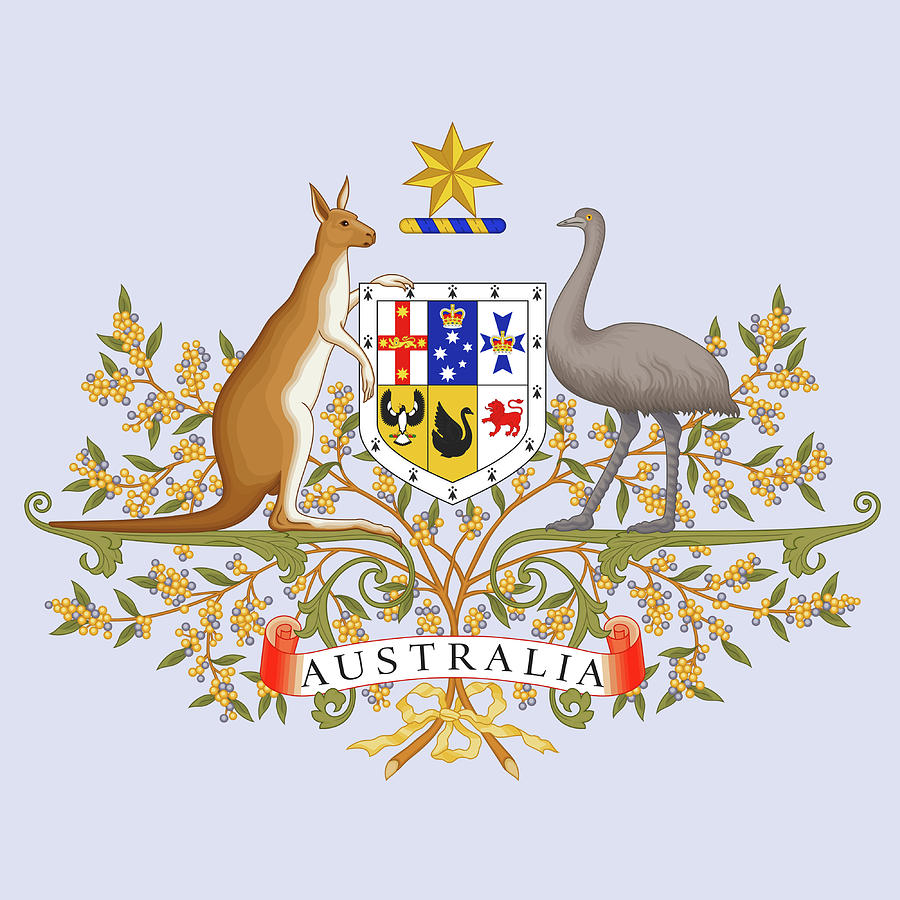 900x900 australia coat of arms drawing - Australia Drawing