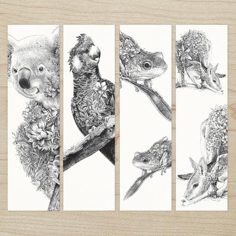480x480 australian wildlife collection marini ferlazzo - Australian Animals Drawings