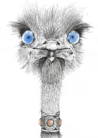 375x524 Ethel Drawing - Australian Animals Drawings