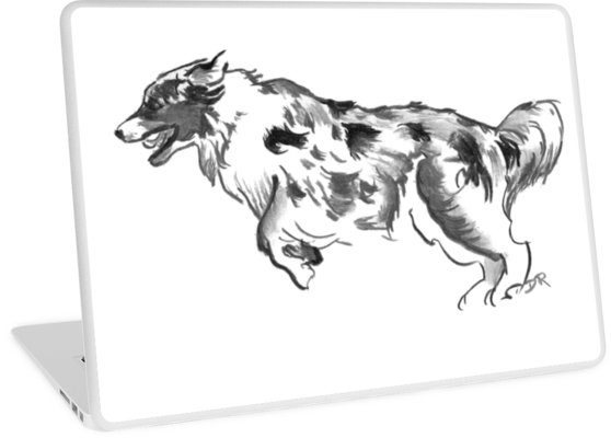 558x400 australian shepherd drawing laptop skins - Australian Shepherd Drawing
