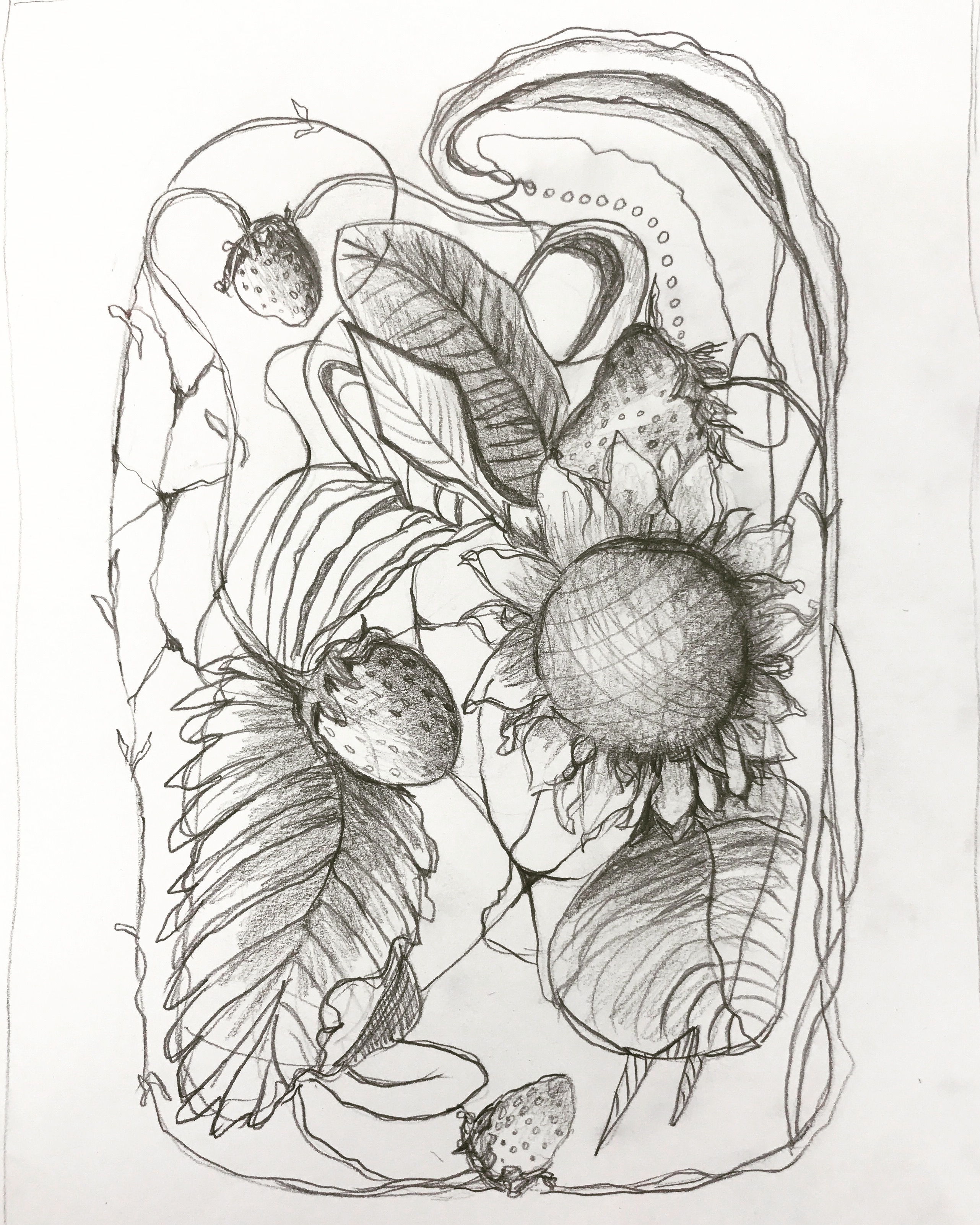 2563x3203 Automatic Drawing, Target, Typos And, Of Course, Bears Carol - Automatic Drawing