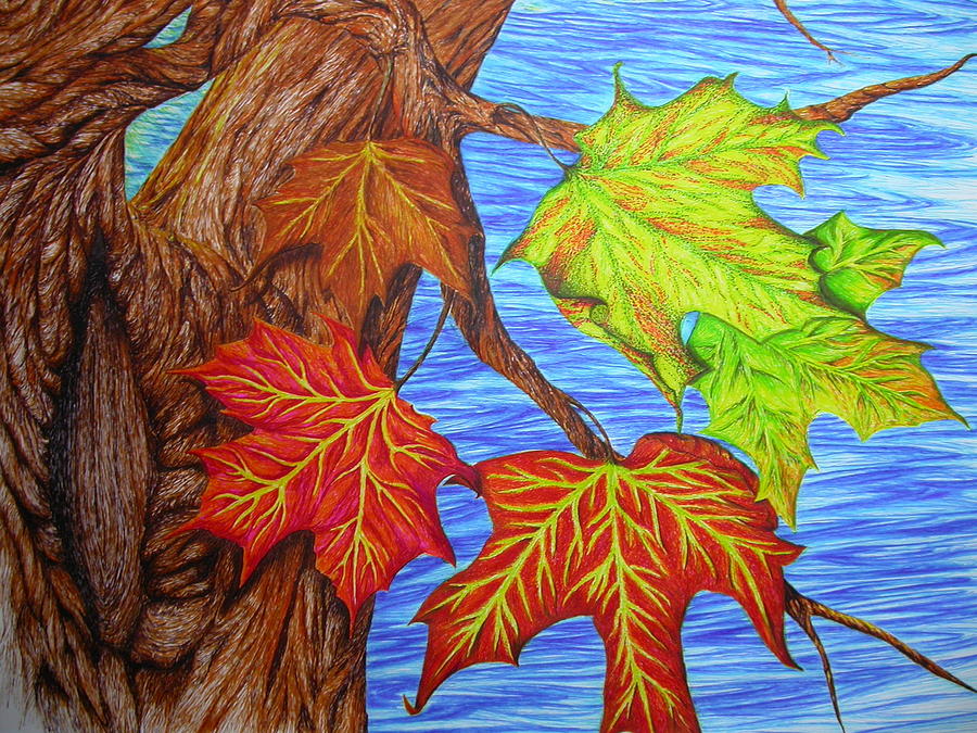 900x675 autumn majik drawing - Autumn Drawing