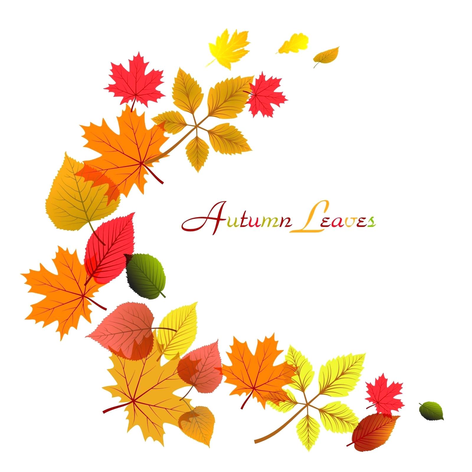 Autumn Leaves Drawing at PaintingValley.com | Explore collection of