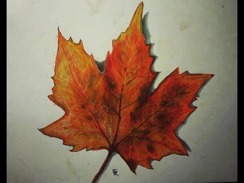 480x360 drawing an autumn leaf - Autumn Leaves Drawing